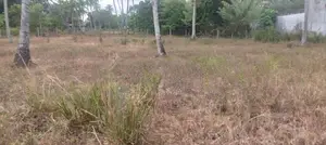 Land for Sale - Katunayake
