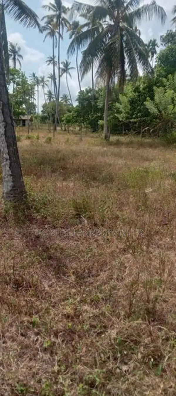 Land for Sale - Katunayake