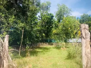 Land for Sale Akkaraipattu