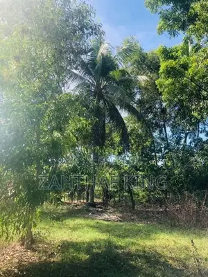 Land for Sale Akkaraipattu