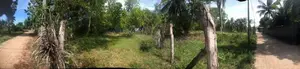 Land for Sale Akkaraipattu