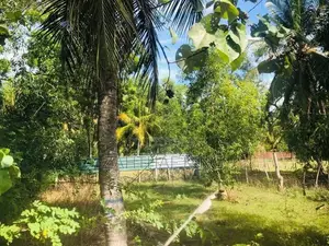Land for Sale Akkaraipattu