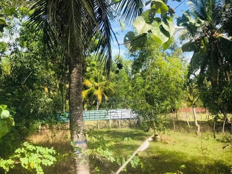 Land for Sale Akkaraipattu