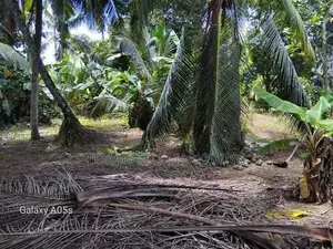 Land For Sale In Meepe, Mawathagama