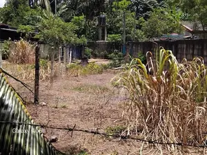 Land For Sale In Meepe, Mawathagama