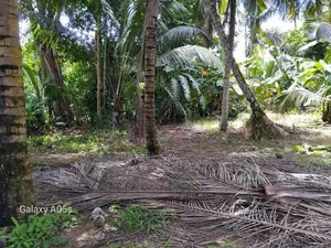Land For Sale In Meepe, Mawathagama