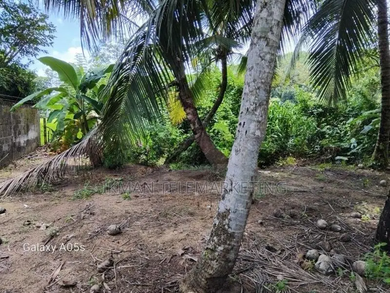 Land For Sale In Meepe, Mawathagama