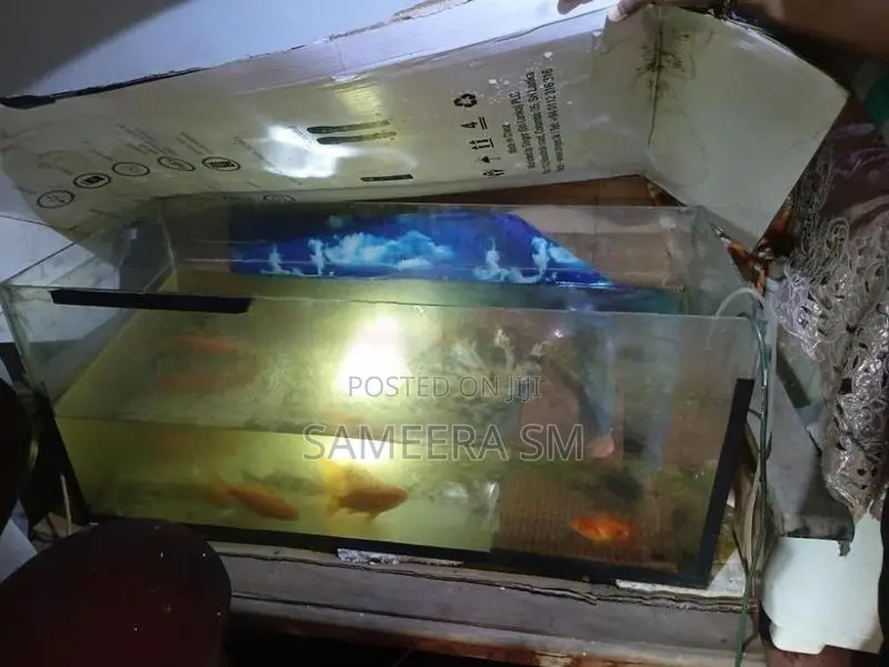 Malu Samaga Tankiya