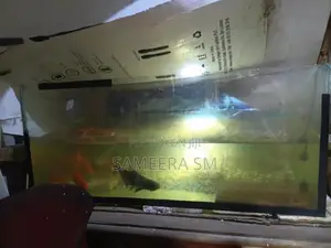 Malu Samaga Tankiya