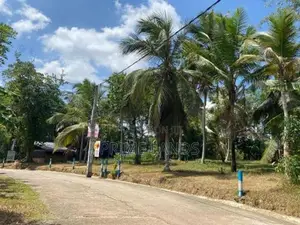 Land IN Devalapola Minuwangoda