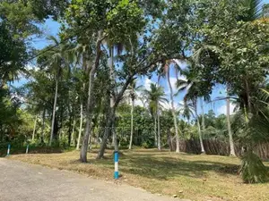 Land IN Devalapola Minuwangoda