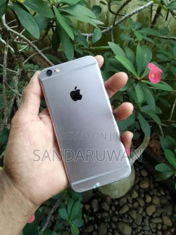Apple iPhone 6S (Used)