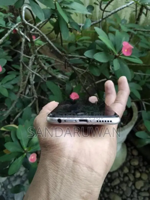 Apple iPhone 6S (Used)