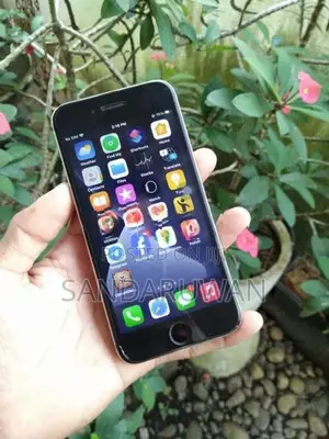 Apple iPhone 6S (Used)