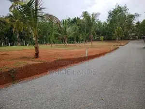 Land IN Diulapitiya Divulapitiya