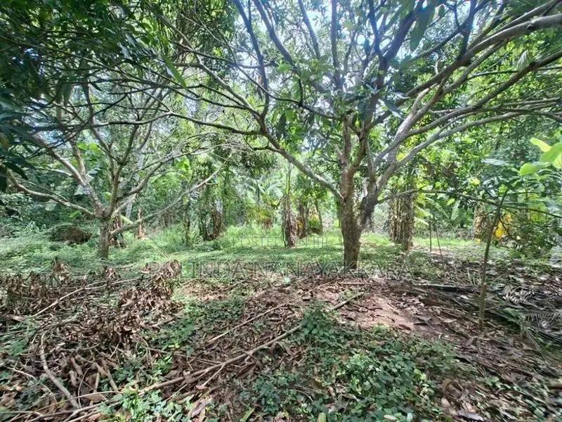 Land For Sale In Monaragala / විකුණන ඉඩම - මොණරාගල