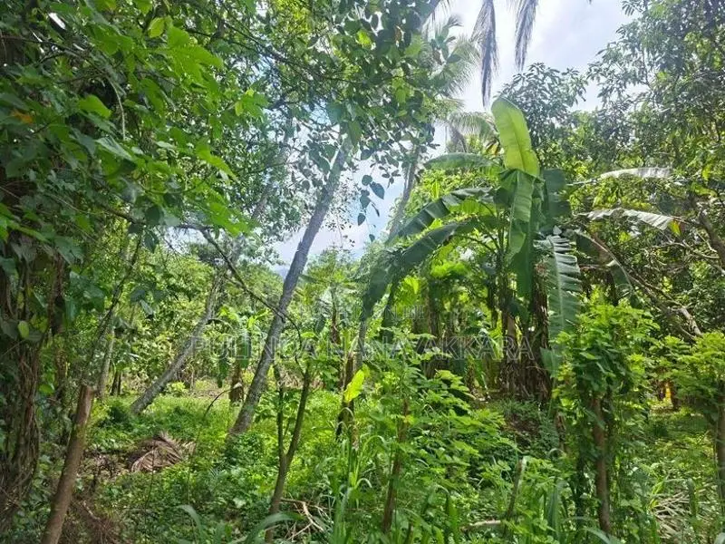 Land For Sale In Monaragala / විකුණන ඉඩම - මොණරාගල