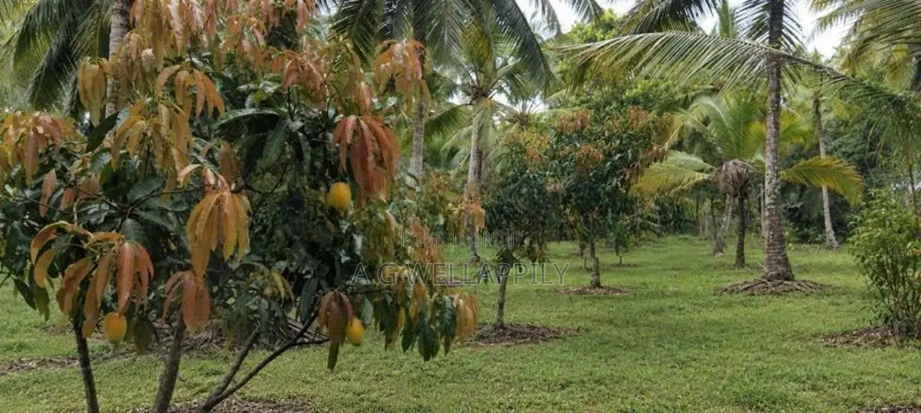 Land For Sale Kuliyapitiya