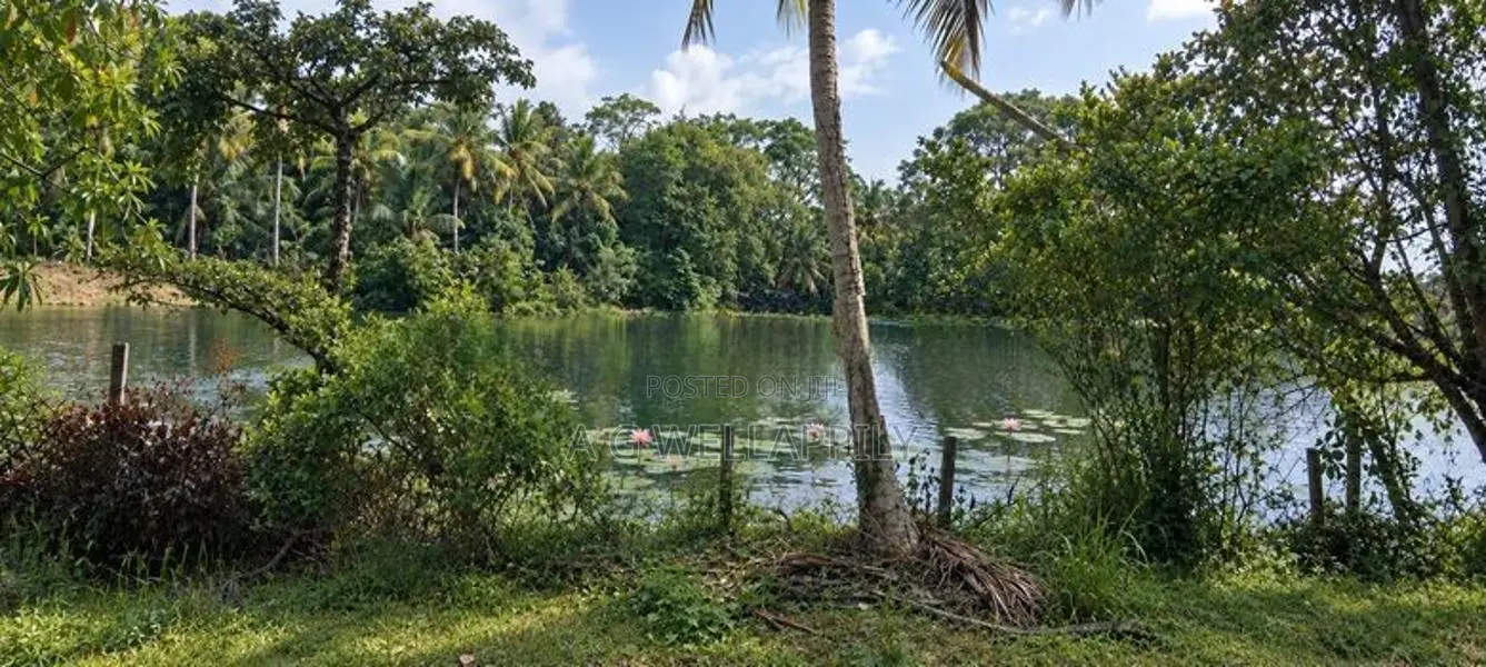 Land For Sale Kuliyapitiya