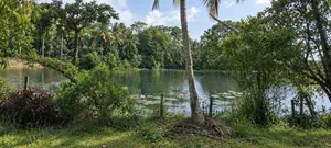 Land For Sale Kuliyapitiya