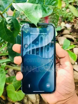 Apple iPhone 12 mini (Used)