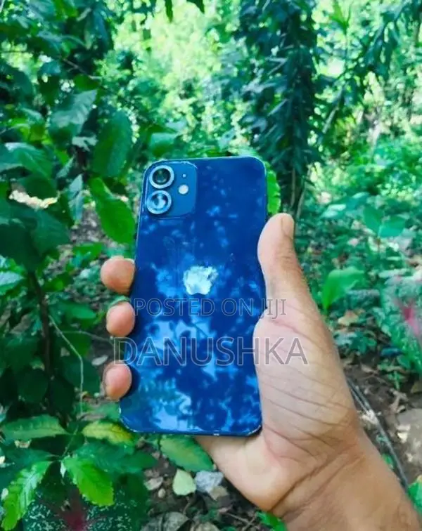 Apple iPhone 12 mini (Used)
