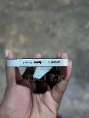 Apple iPhone 12 mini (Used)