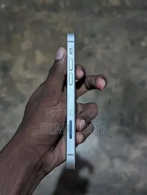 Apple iPhone 12 mini (Used)