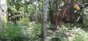 Sale Land Battaramulla/ Koswatta LS 819