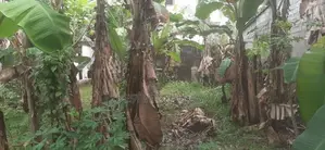 Sale Land Battaramulla/ Koswatta LS 819