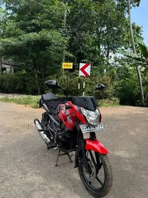 Bajaj Pulsar 135 2011
