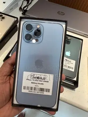 Apple iPhone 13 Pro Max (Used)