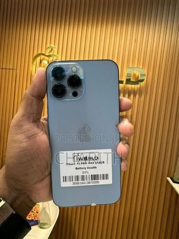 Apple iPhone 13 Pro Max (Used)