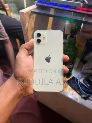 Apple iPhone 12 128GB (Used)