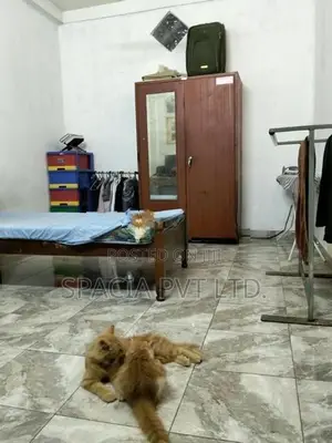Semi Furnished House For Rent In Kirulapone Colombo 6