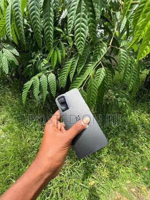 OnePlus Nord N20 SE (Used)