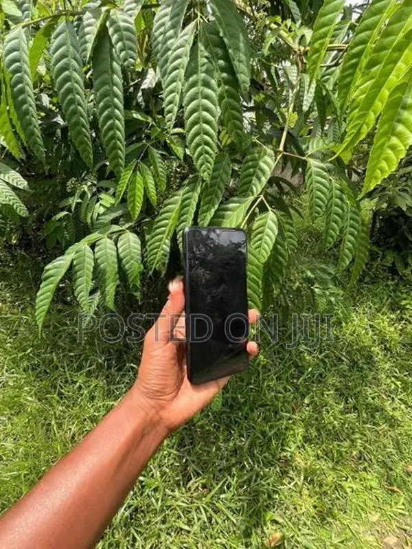 OnePlus Nord N20 SE (Used)