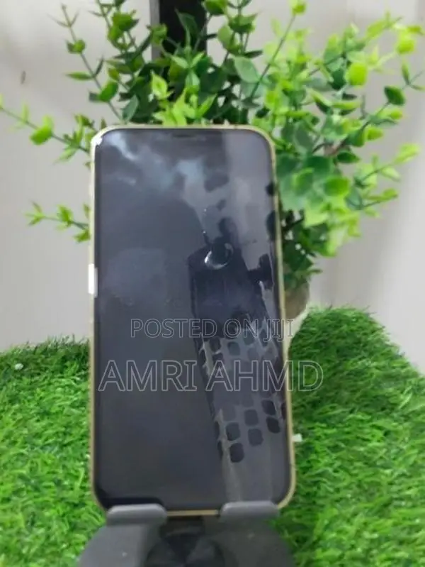 Apple iPhone 12 Pro (Used)