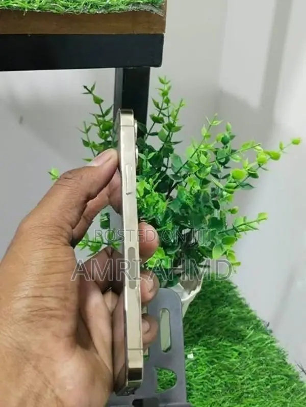 Apple iPhone 12 Pro (Used)