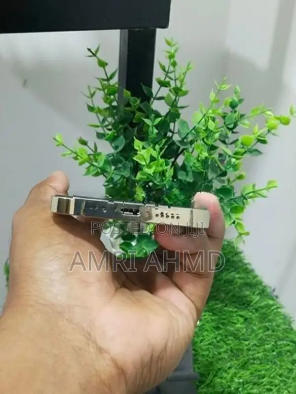 Apple iPhone 12 Pro (Used)