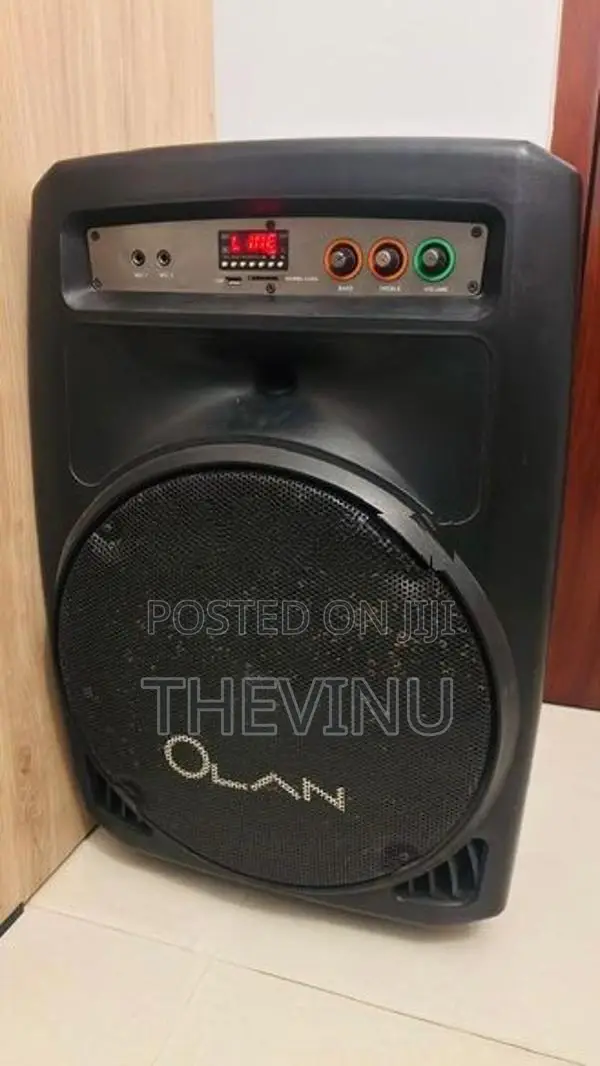 Olan 30inch Bluetooth Speaker