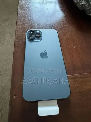 Apple iPhone 12 Pro Max (Used)
