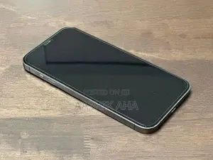 Apple iPhone 12 Pro Max (Used)