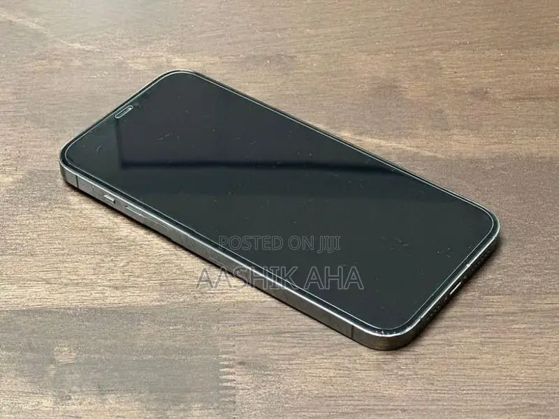 Apple iPhone 12 Pro Max (Used)