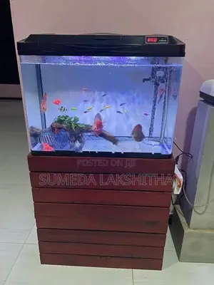 Imported Fish Tank