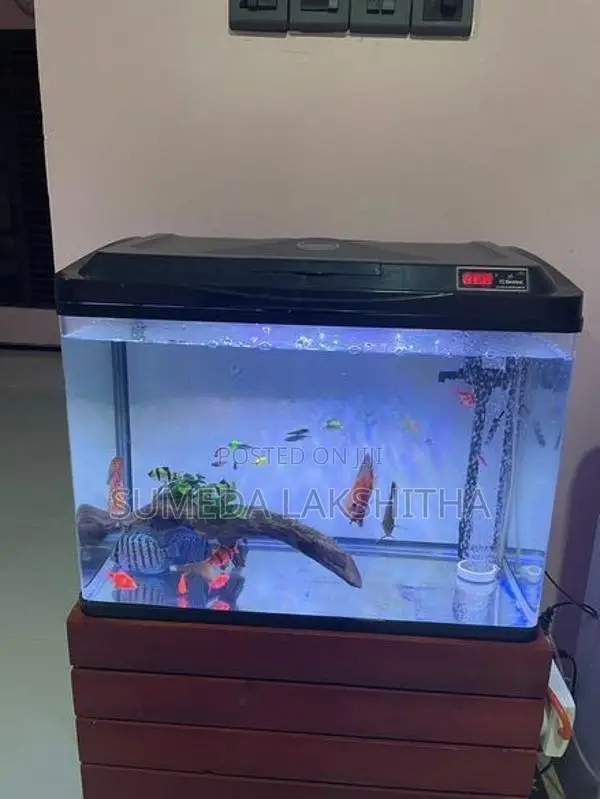 Imported Fish Tank