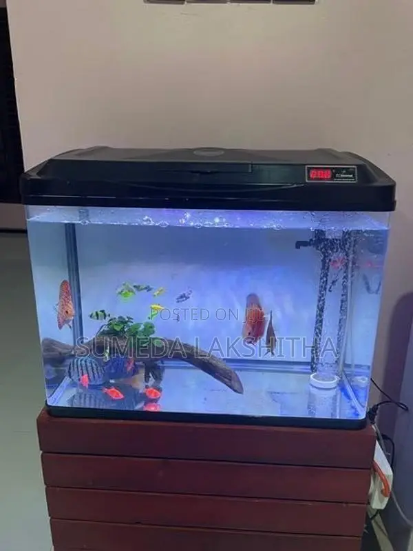 Imported Fish Tank