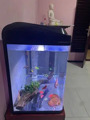 Imported Fish Tank