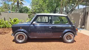 Austin Mini Cooper Air bag 1997