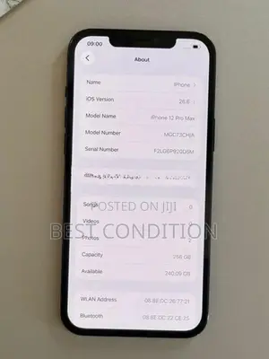 Apple iPhone 12 Pro Max (Used)